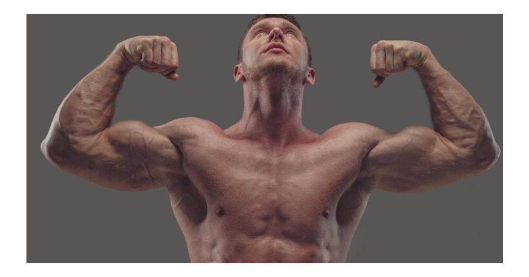 wellhealthorganic.com | How To Build Muscle Know Tips To Increase Muscles